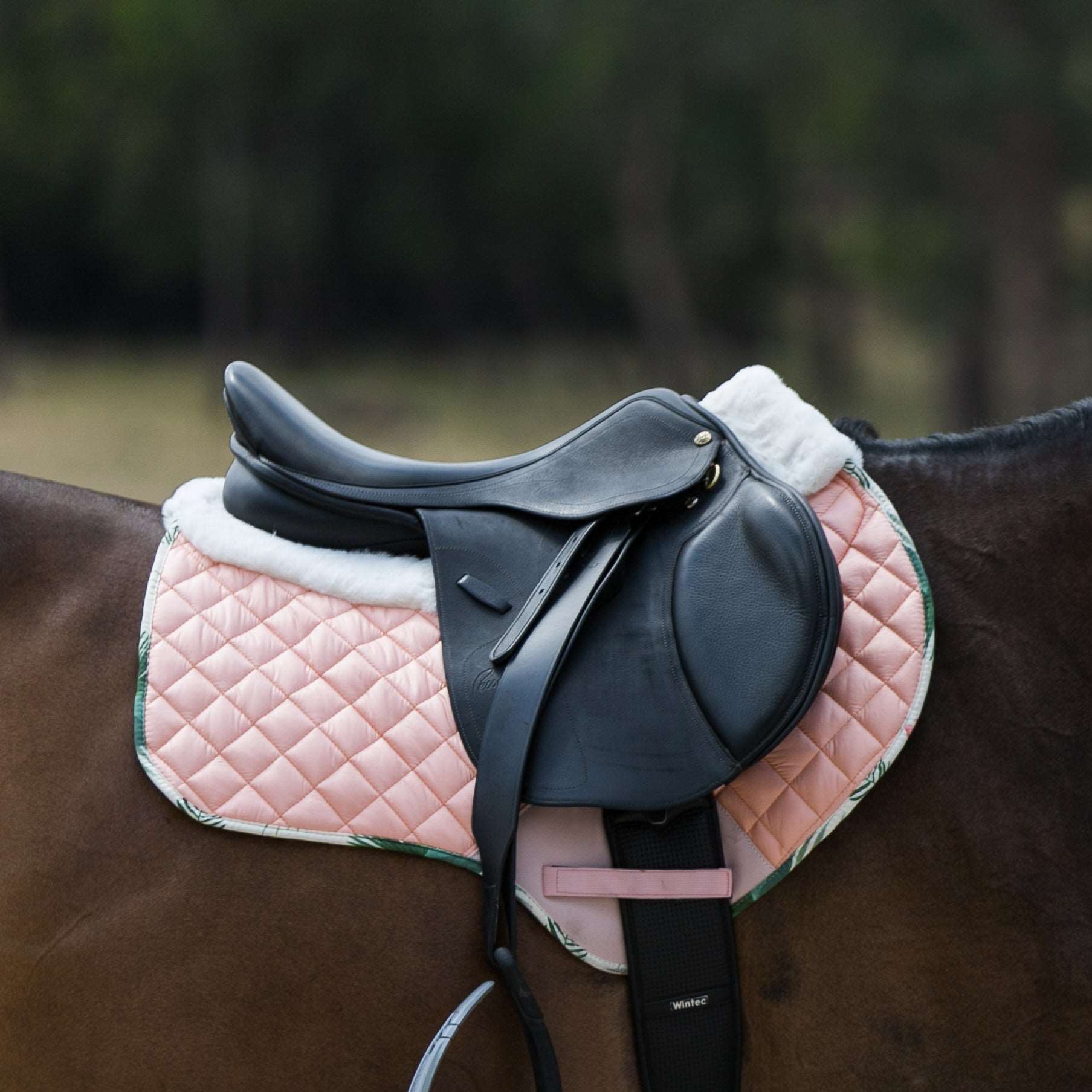 Pink Floral Jump Saddle Pad Equestrian Rider Apparel Equestrian