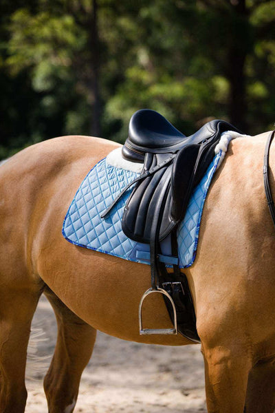 blue saddle pad